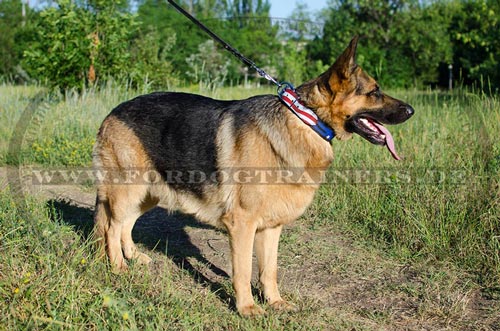 Bemaltes Halsband für Deutschen Schäferhund