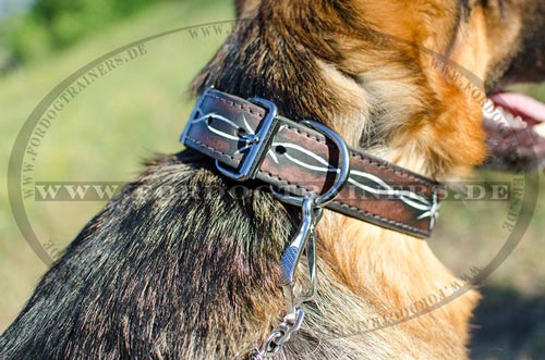 Halsband für Deutschen Schäferhund kaufen