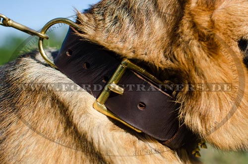 Schäferhund Niten Halsband aus Leder kaufen