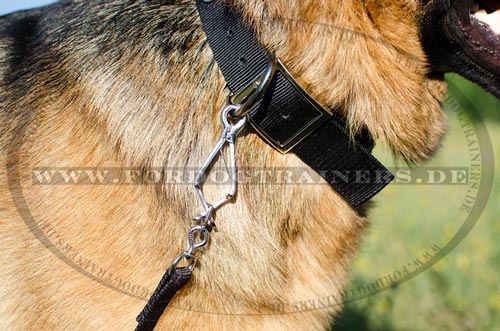 Halsband für Deutschen Schäferhund größenverstellbar