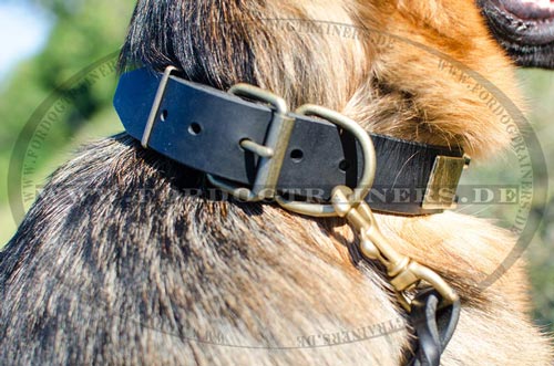 Hundehalsband für Deutschen
Schäferhud reißfest