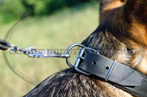 Deutscher Schäferhund Halsband mit Filz