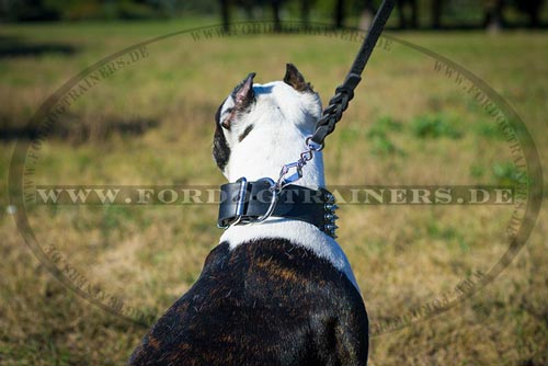 Hundehalsband aus Leder für Pitbull Terrier
kaufen