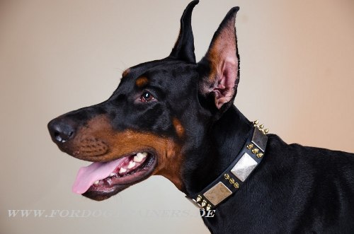  Vintage Dobermann Leder Hunde Halsband 