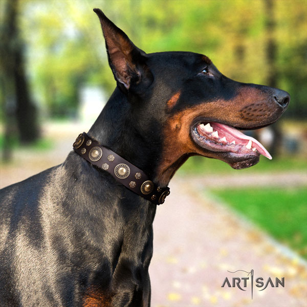 Schönes Halsband in braun für Dobermann