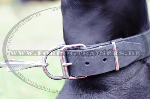 Dobermann Halsband aus Leder