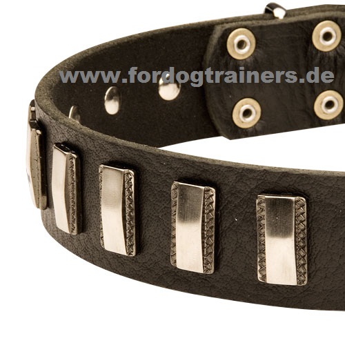 Malinois Lederhalsband