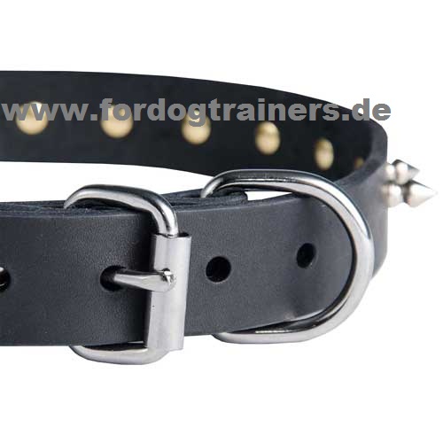 Lederhalsband für Malinois einstellbar