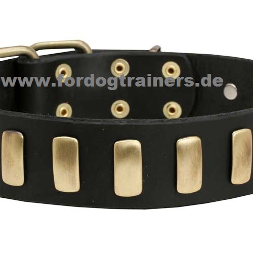 Lederhalsband für Malinois Elegant