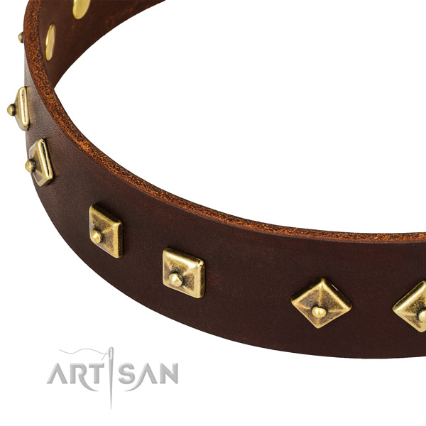 FDT Artisan Nieten Halsband aus braunem Leder