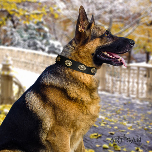 Schäferhund Halsband aus Leder in schwarz