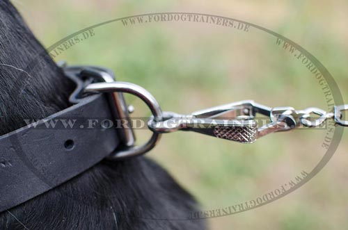 Sennenhund Lederhalsband Ekclusiv