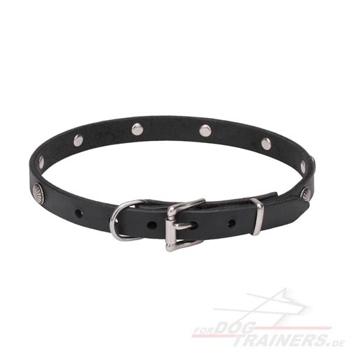 Hochqualitatives Lederhalsband online kaufen