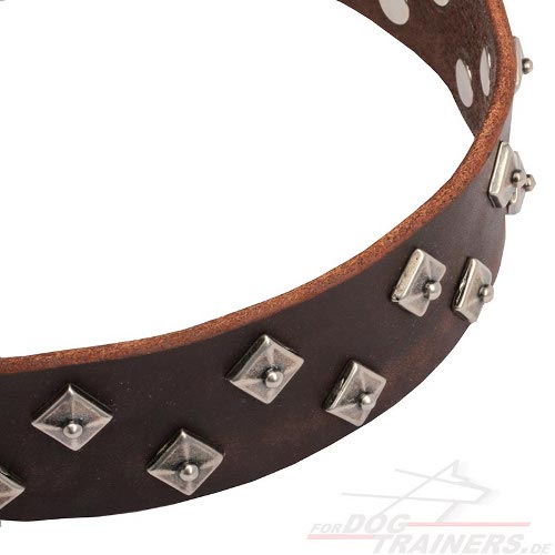 Hundehalsband Nieten elegant