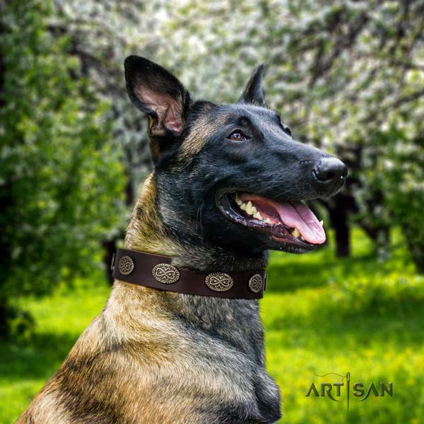 Genietetes Lederhalsband in braun für Malinois