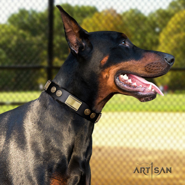 Genietetes Lederhalsband in schwarz für Dobermann