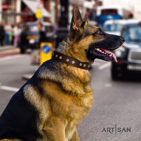 Schäferhund Halsband aus braunem Leder