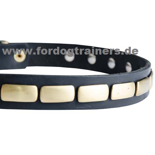 Halsband extra komfortabel Pittbull