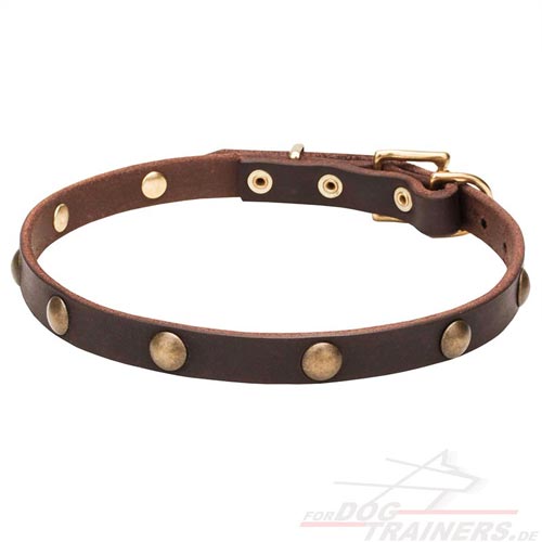 Leather dog collar for everyday and training