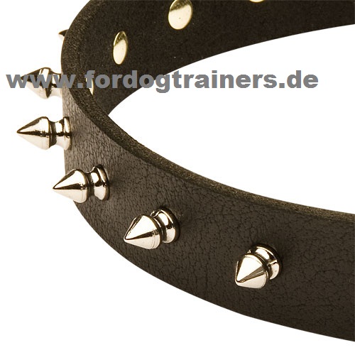 Halsband für Malinois