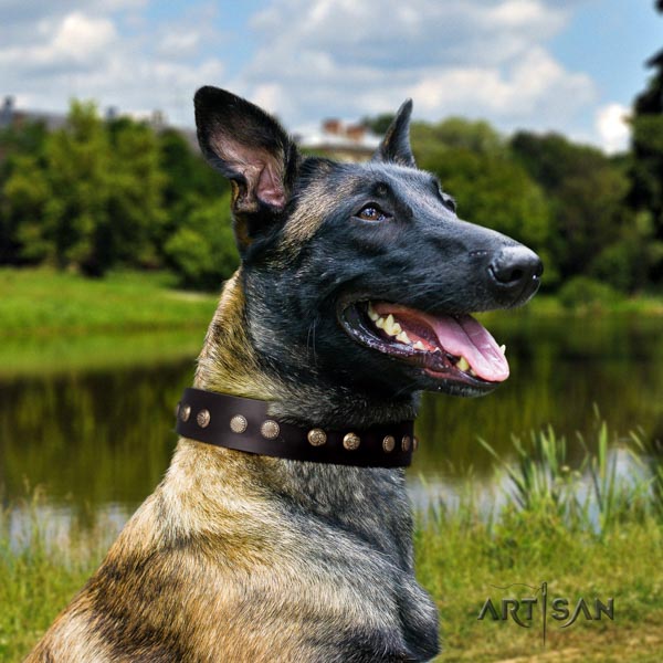 Genietetes Lederhalsband in braun für Malinois