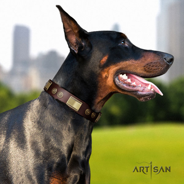 Dobermann Halsband aus braunem Leder