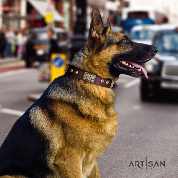 Schäferhund Halsband aus braunem Echtleder