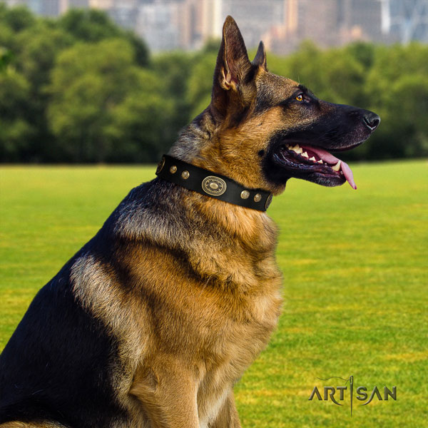 Schäferhund Halsband aus schwarzem Leder