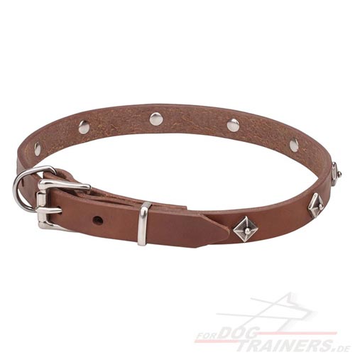 Hunde Halsband Nieten elegant