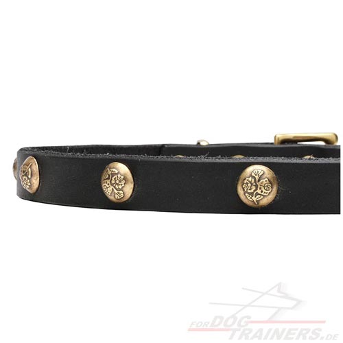 Hundehalsband Nieten elegant