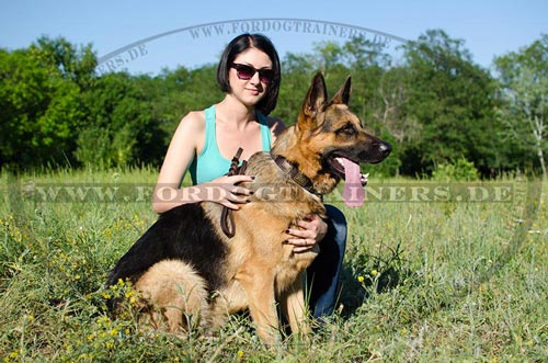 Genietetes Hundehalsband für Deutschen Schäferhund 