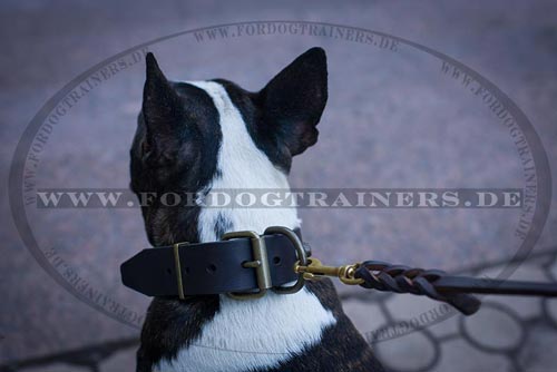 Leder Hundehalsband für Bullterrier