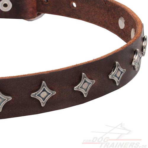 Hunde Halsband mit vernickelten Stahl Nieten