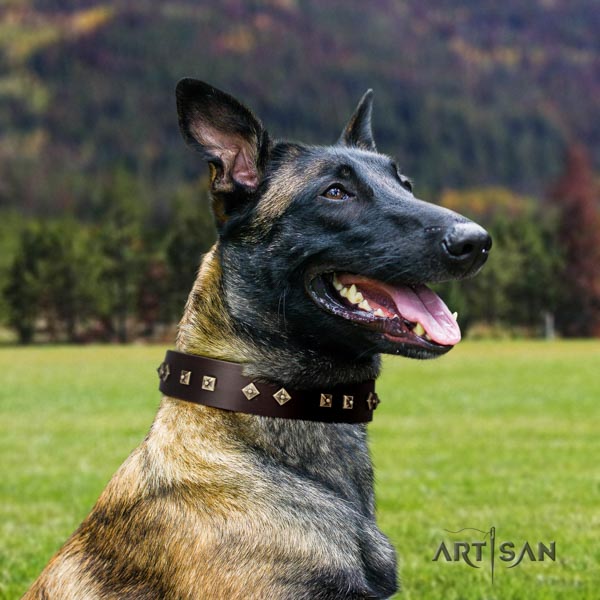 Genietetes Lederhalsband in braun für Malinois