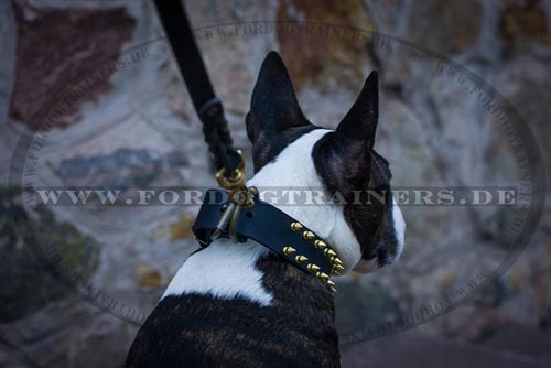 Genietetes Bullterrier Hundehalsband kaufen