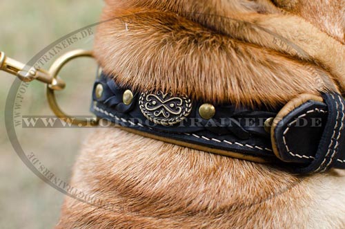 Halsband für Shar Pei streng