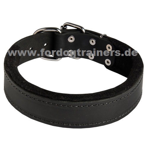 Vielzweckhalsband für Sennenhund