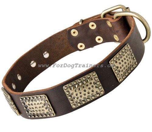 große Hunde Halsband Leder mit massiven Vintage
Messingplatten