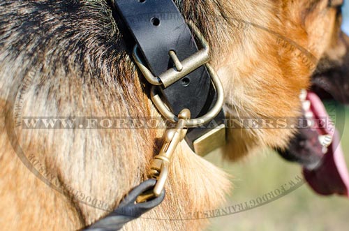 Grosser Deutscher
Schäferhund Halsband kaufen
