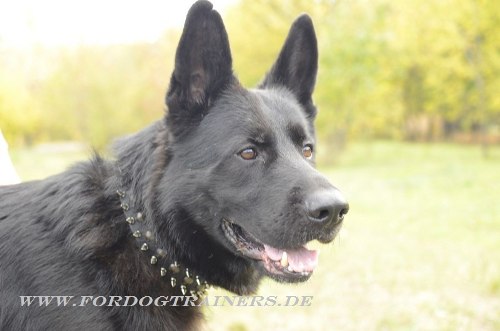 Handgefertigtes Grosser Schäferhund Hundehalsband Leder