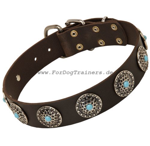 collars for dogs with metal decorations