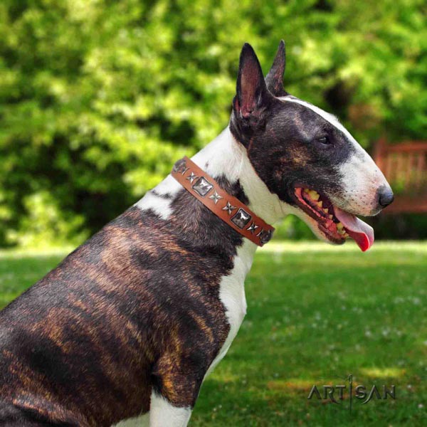 Großartiges Halsband aus Leder für Bullterrier