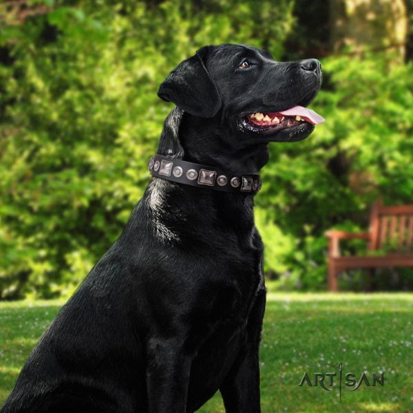 Halsband für Labrador, robust