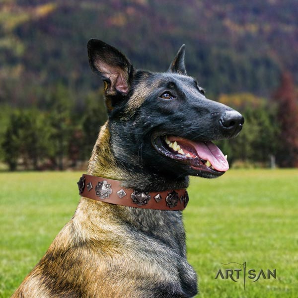 Malinois Lederhalsband mit Schmucken