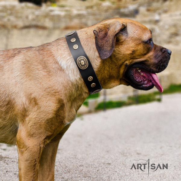 Elegantes Halsband aus Leder für Cane Corso