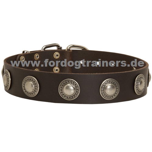 Halsband für Schäferhund