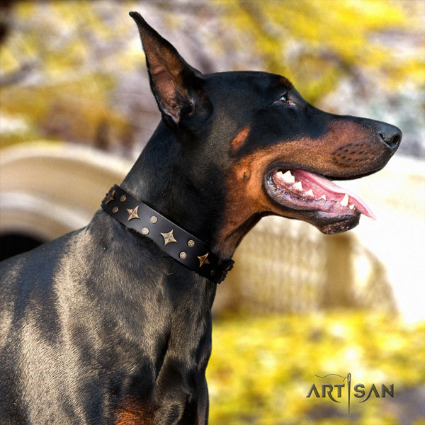 Halsband aus Echtleder für Dobermann