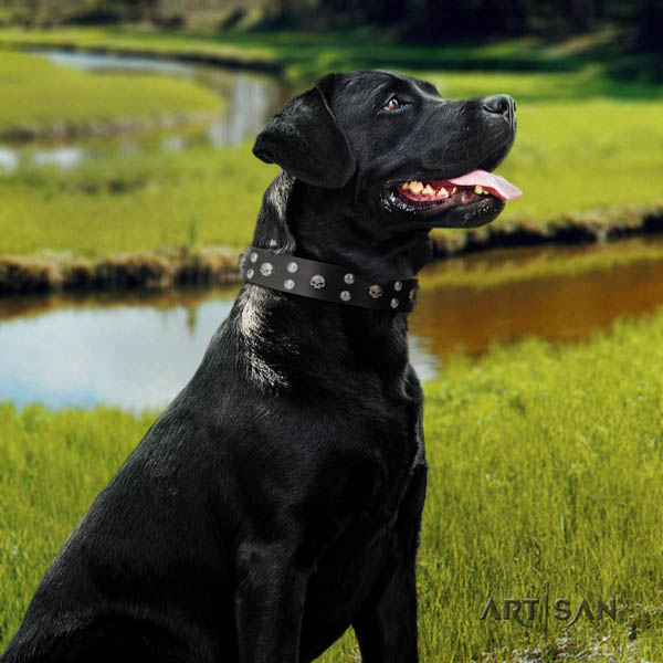 Preiswertiges Halsband aus Echtleder für Labrador