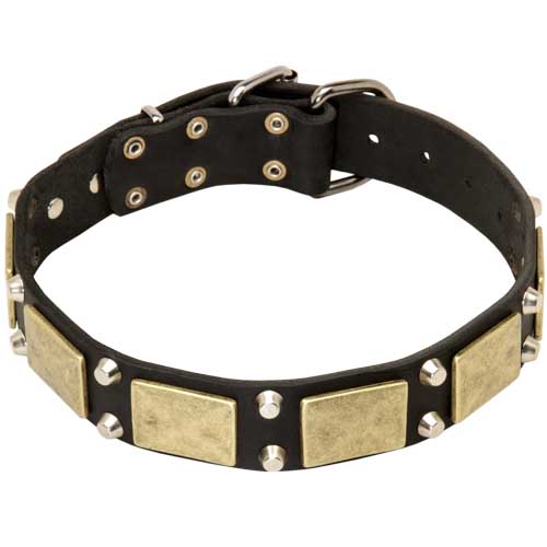 Halsband
Leder