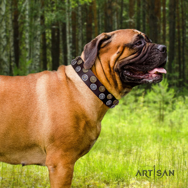 Exklusives Halsband für Bullmastiff